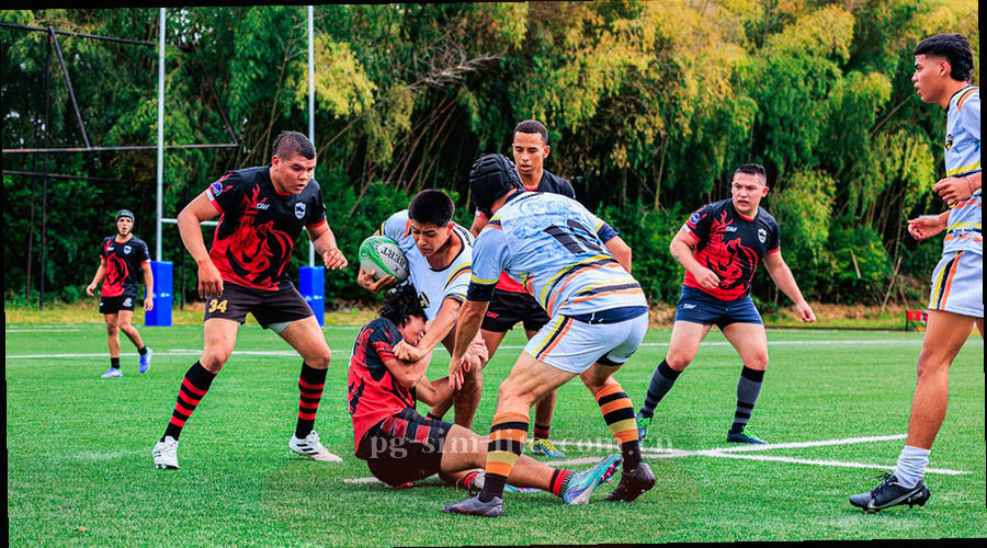 五格评分条与四档标签示意图，深色底上以青绿渐变填充